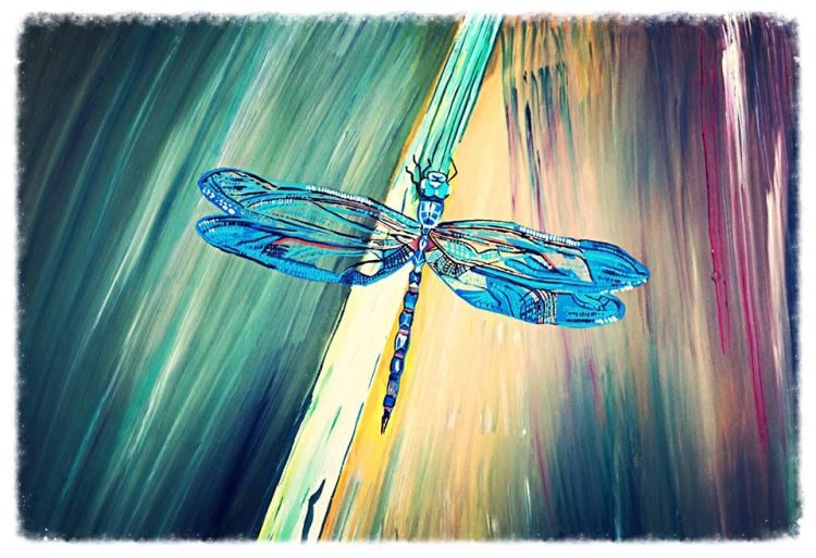 10713004_10204424830212785_7824065522687795829_n